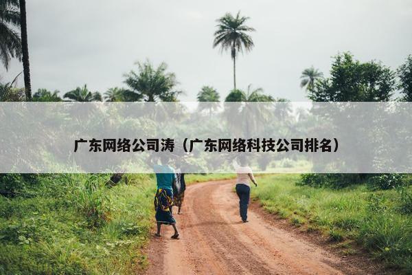 广东网络公司涛(广东网络科技公司排名)