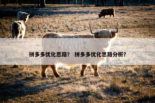 拼多多优化思路? 拼多多优化思路分析?