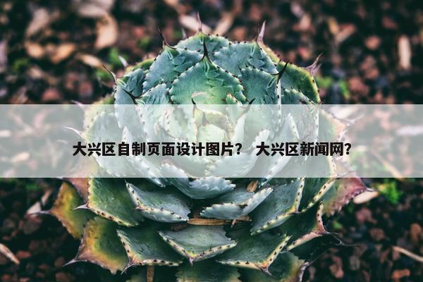 大兴区自制页面设计图片? 大兴区新闻网?