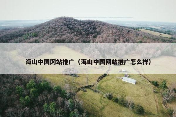 海山中国网站推广(海山中国网站推广怎么样)