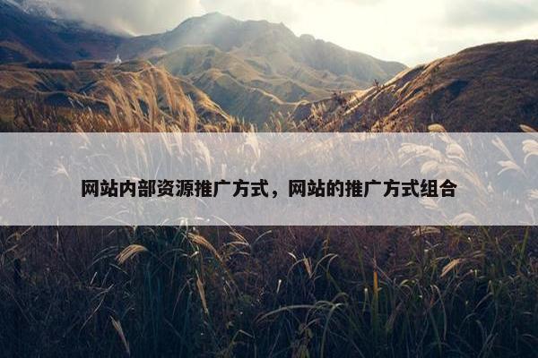 网站内部资源推广方式,网站的推广方式组合