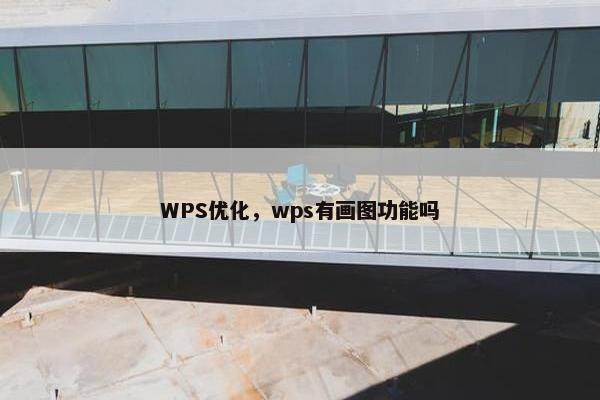 WPS优化,wps有画图功能吗