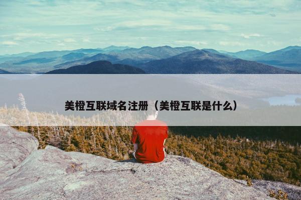 美橙互联域名注册(美橙互联是什么)