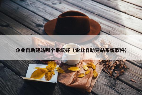 企业自助建站哪个系统好(企业自助建站系统软件)