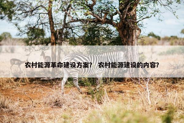 农村能源革命建设方案? 农村能源建设的内容?