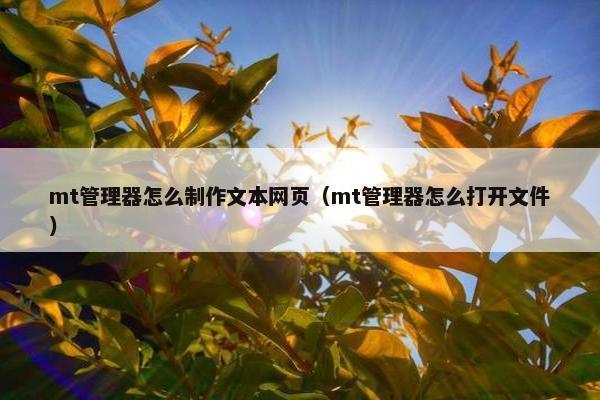 mt管理器怎么制作文本网页(mt管理器怎么打开文件)
