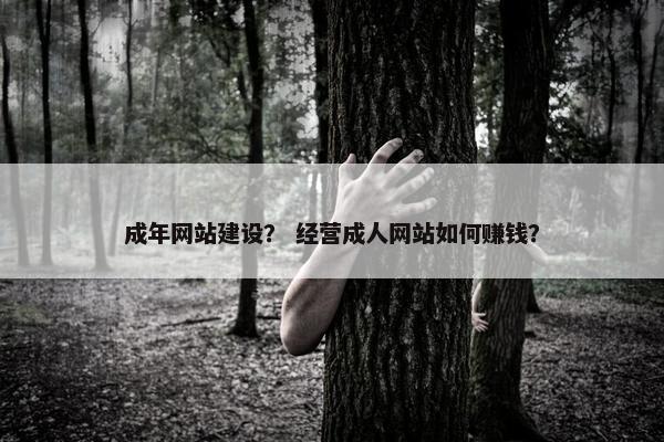 成年网站建设? 经营成人网站如何赚钱?