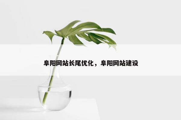阜阳网站长尾优化,阜阳网站建设