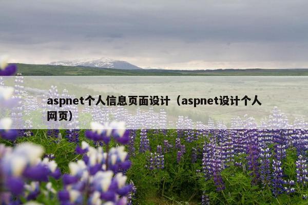 aspnet个人信息页面设计(aspnet设计个人网页)