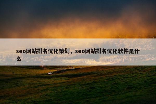 seo网站排名优化策划，seo网站排名优化软件是什么