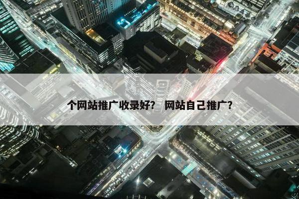 个网站推广收录好? 网站自己推广?