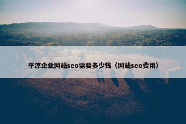平凉企业网站seo需要多少钱(网站seo费用)