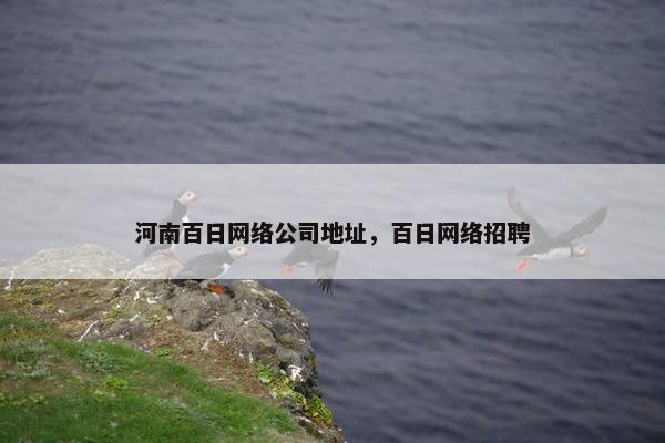 河南百日网络公司地址，百日网络招聘