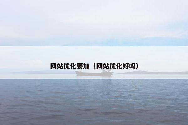 网站优化要加(网站优化好吗)