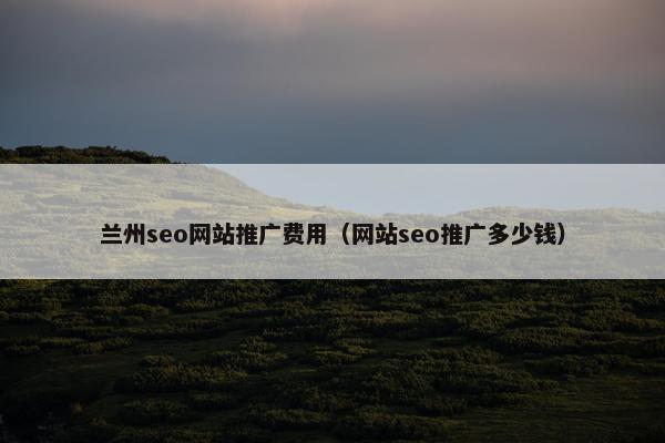 兰州seo网站推广费用（网站seo推广多少钱）