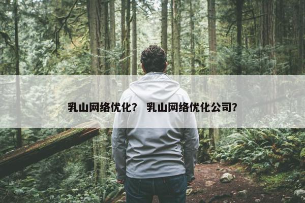 乳山网络优化？ 乳山网络优化公司？