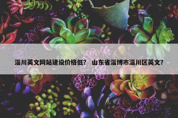 淄川英文网站建设价格低？ 山东省淄博市淄川区英文？