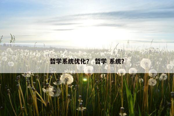 哲学系统优化？ 哲学 系统？