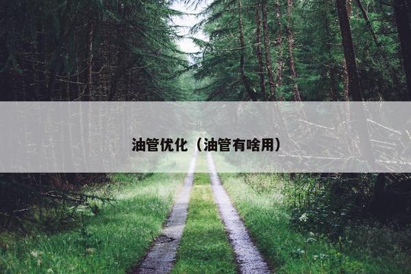 油管优化（油管有啥用）