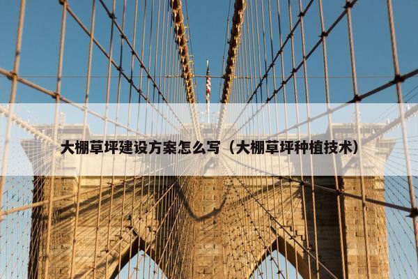 大棚草坪建设方案怎么写（大棚草坪种植技术）