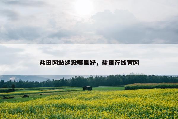 盐田网站建设哪里好，盐田在线官网