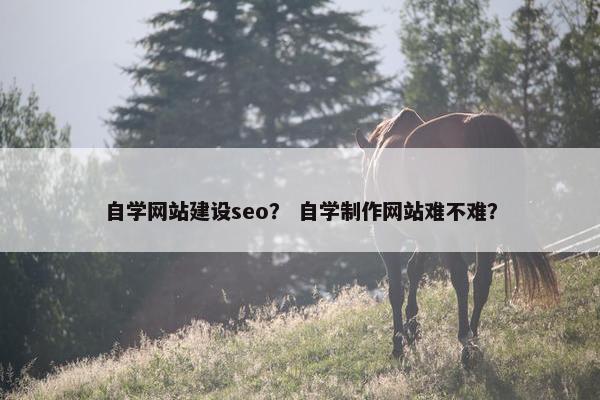 自学网站建设seo？ 自学制作网站难不难？