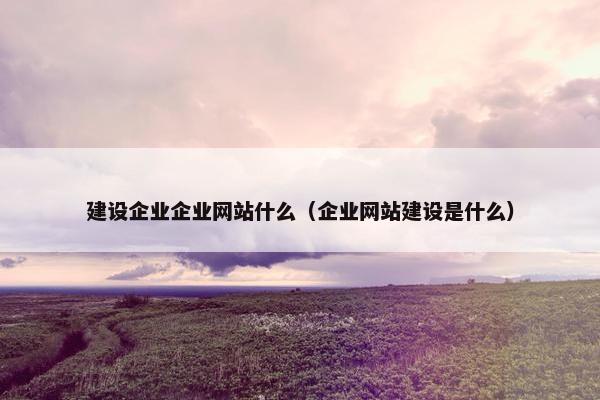 建设企业企业网站什么（企业网站建设是什么）