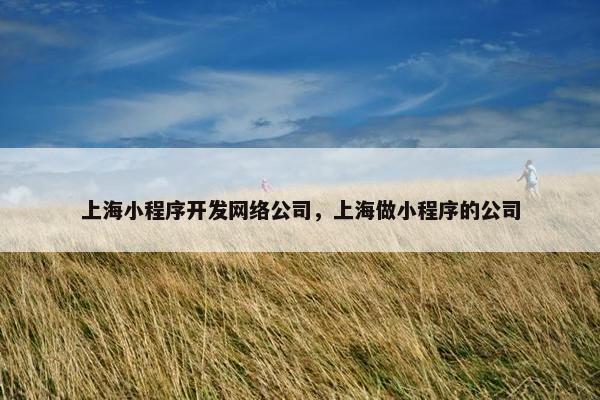 上海小程序开发网络公司，上海做小程序的公司