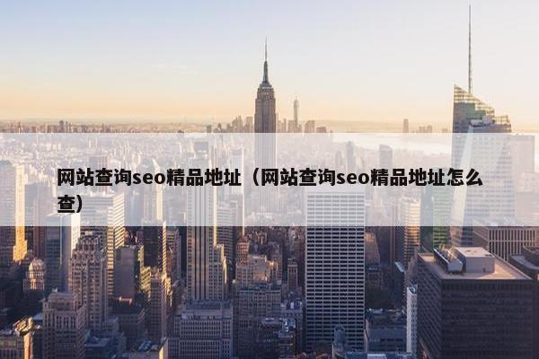 网站查询seo精品地址（网站查询seo精品地址怎么查）