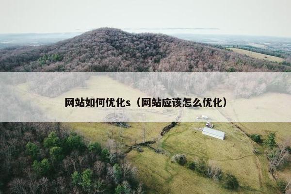 网站如何优化s（网站应该怎么优化）