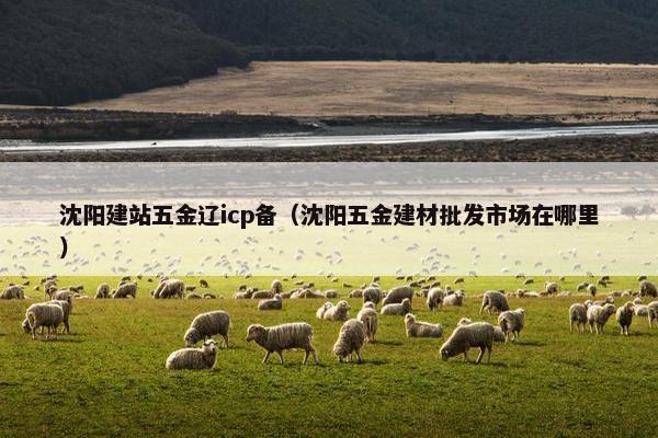 沈阳建站五金辽icp备（沈阳五金建材批发市场在哪里）