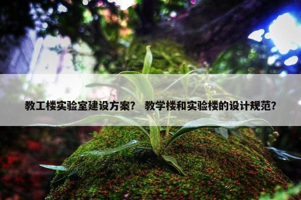 教工楼实验室建设方案？ 教学楼和实验楼的设计规范？