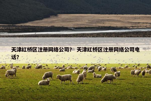 天津红桥区注册网络公司？ 天津红桥区注册网络公司电话？