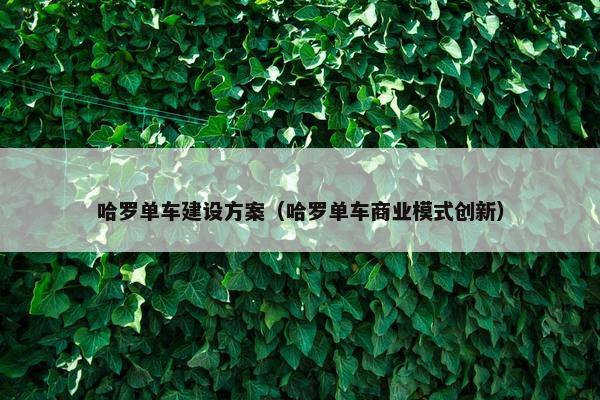 哈罗单车建设方案（哈罗单车商业模式创新）