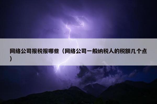 网络公司报税报哪些（网络公司一般纳税人的税额几个点）
