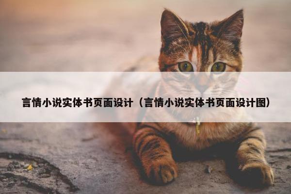 言情小说实体书页面设计（言情小说实体书页面设计图）