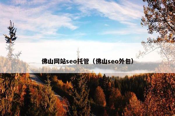 佛山网站seo托管（佛山seo外包）