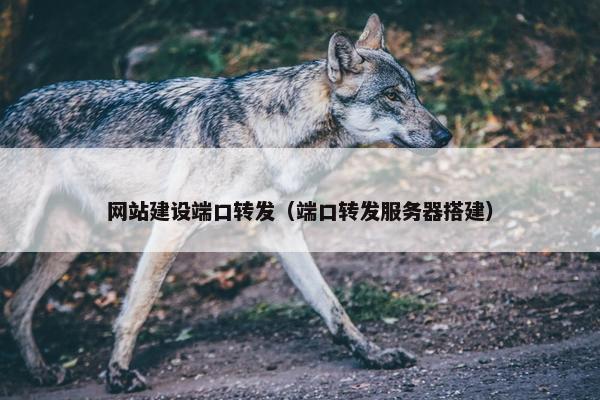 网站建设端口转发（端口转发服务器搭建）