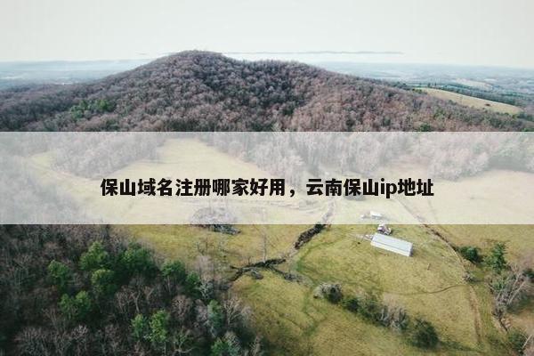 保山域名注册哪家好用，云南保山ip地址