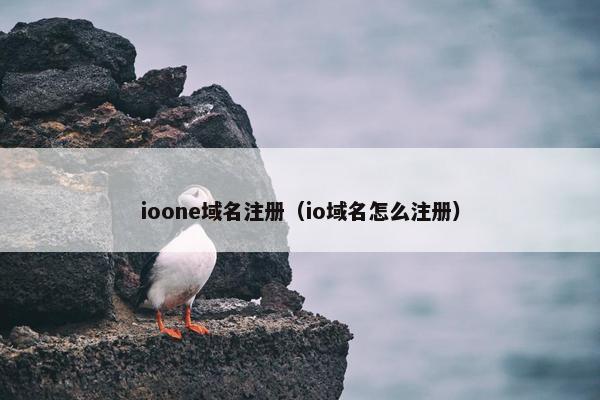 ioone域名注册（io域名怎么注册）