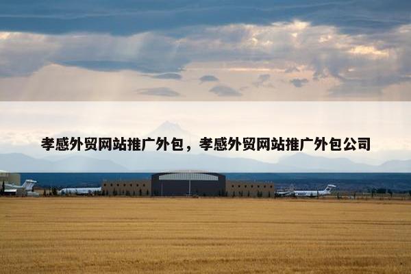 孝感外贸网站推广外包，孝感外贸网站推广外包公司