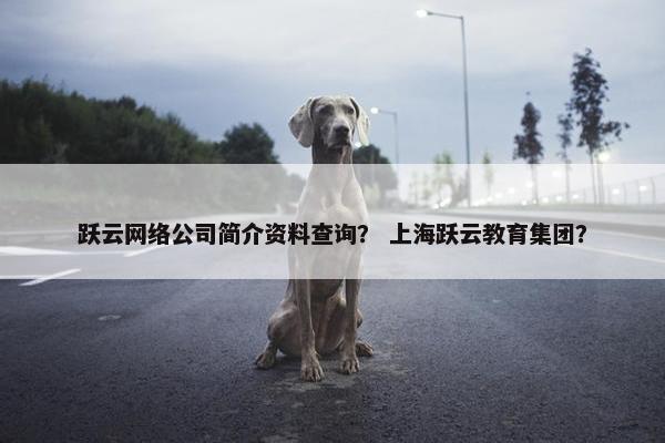 跃云网络公司简介资料查询？ 上海跃云教育集团？