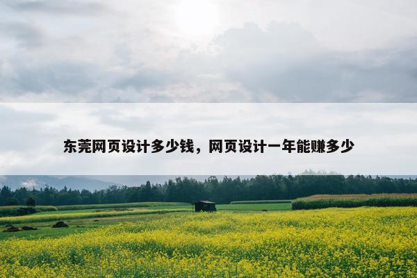 东莞网页设计多少钱，网页设计一年能赚多少