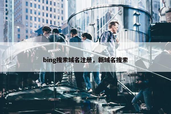 bing搜索域名注册，新域名搜索