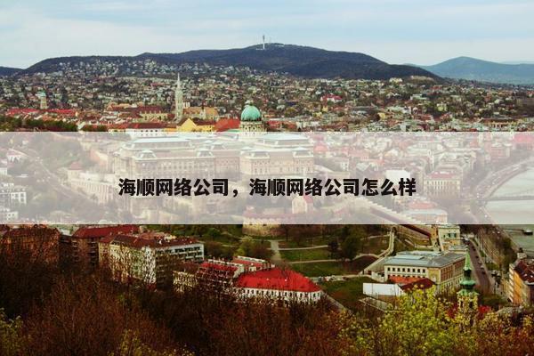 海顺网络公司，海顺网络公司怎么样