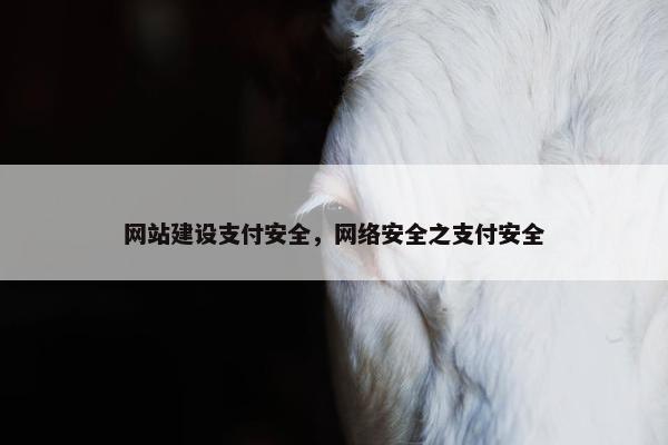 网站建设支付安全，网络安全之支付安全