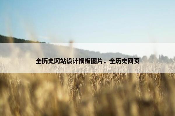 全历史网站设计模板图片，全历史网页