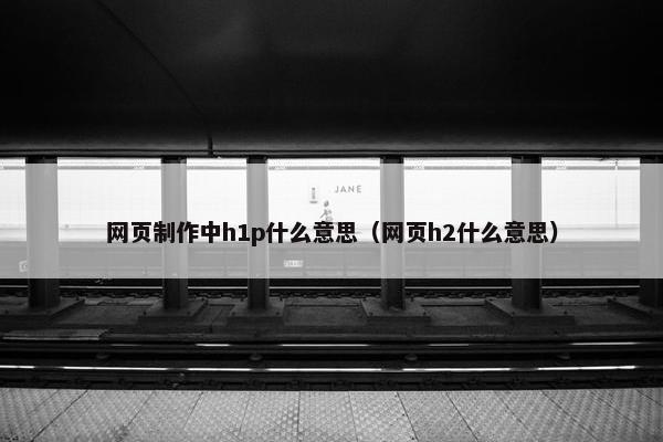 网页制作中h1p什么意思（网页h2什么意思）