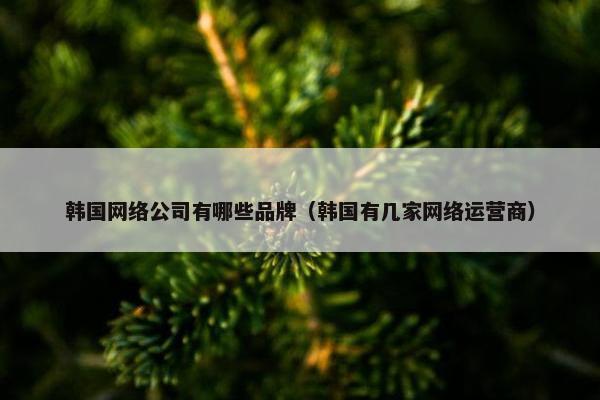 韩国网络公司有哪些品牌（韩国有几家网络运营商）