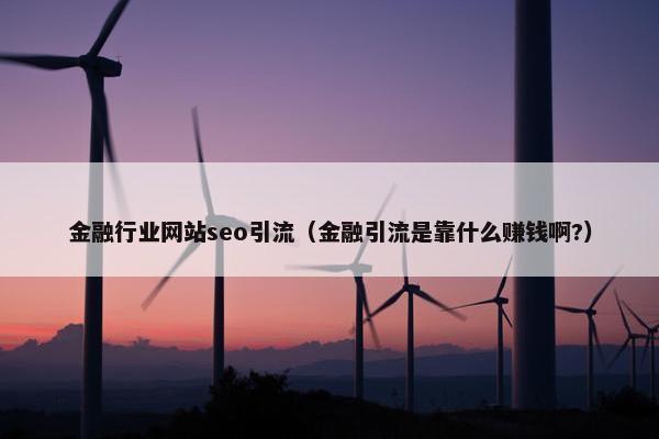 金融行业网站seo引流（金融引流是靠什么赚钱啊?）